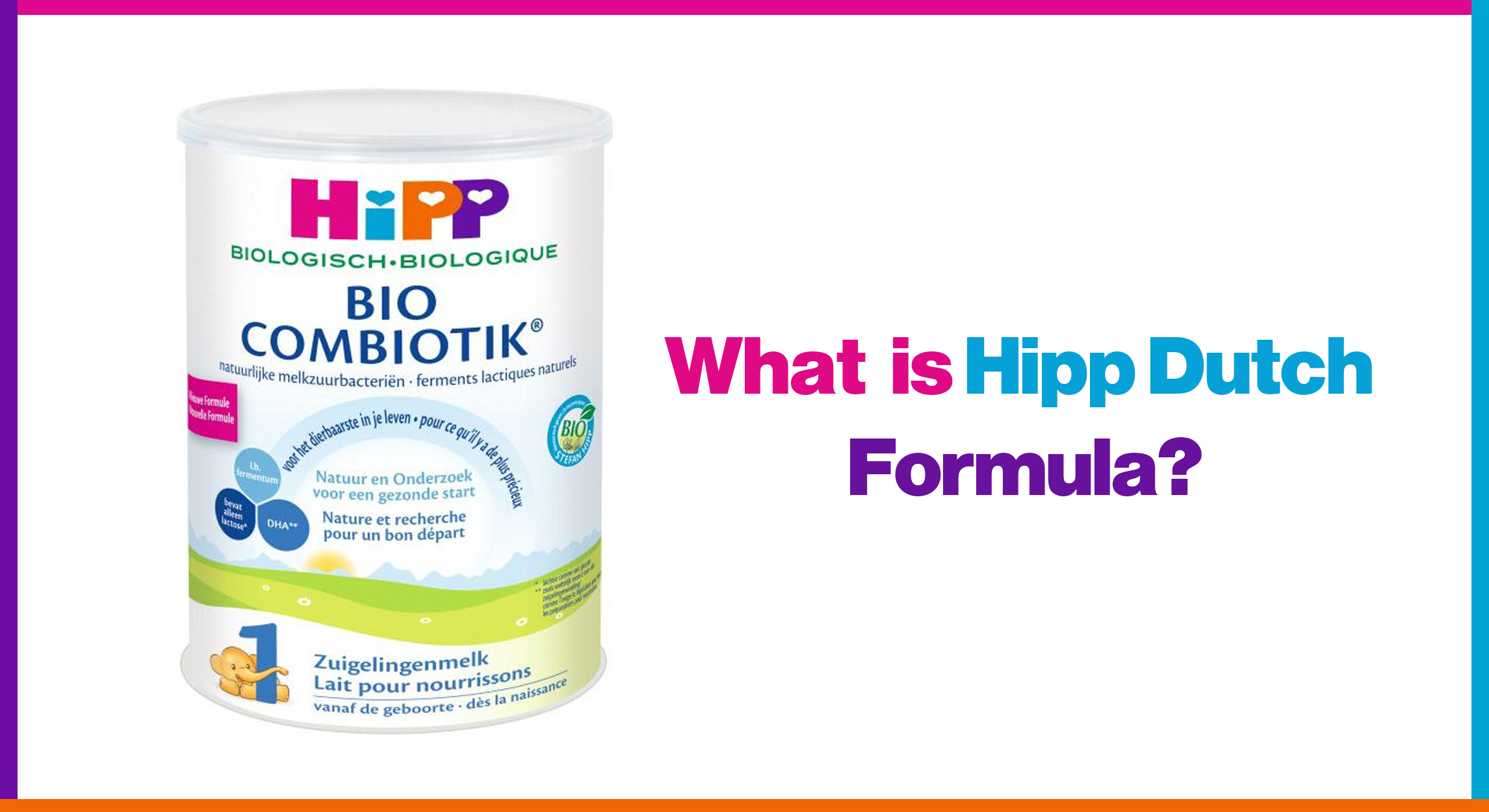 What Is Hipp Dutch Formula?